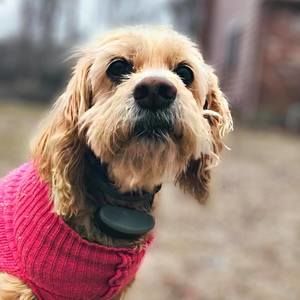 Meet your Posher, Melinda